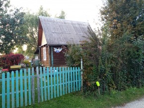 Белоярский р-н, у п. Хризолитовый, снт 50 лет Победы в Нижнем Тагиле - nizhnij-tagil.yutvil.ru