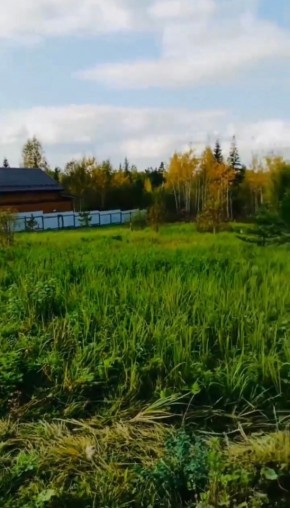 ДП Родной в Нижнем Тагиле - nizhnij-tagil.yutvil.ru