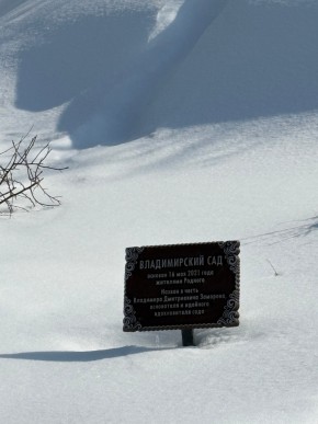 ДП Родной в Нижнем Тагиле - nizhnij-tagil.yutvil.ru - фото 11