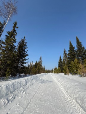 ДП Родной в Нижнем Тагиле - nizhnij-tagil.yutvil.ru - фото 7
