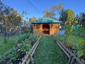 Екатеренбург сад Торгмаш, СНТ  Садовод, уч. 52 в Нижнем Тагиле - nizhnij-tagil.yutvil.ru - фото 10
