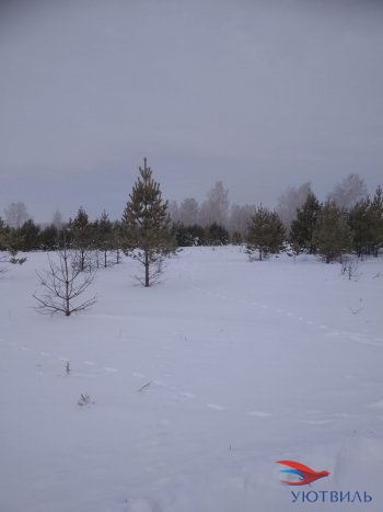 Земельный участок поселок Баженово в Нижнем Тагиле - nizhnij-tagil.yutvil.ru - фото 5