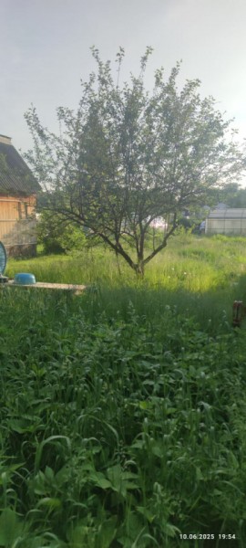 г Верхняя пышма, СНТ Мираж, уч.№ 99 в Нижнем Тагиле - nizhnij-tagil.yutvil.ru - фото 19