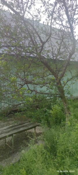г Верхняя пышма, СНТ Мираж, уч.№ 99 в Нижнем Тагиле - nizhnij-tagil.yutvil.ru - фото 26