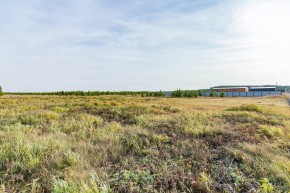 Российская Федерация, Свердловская область, Сысертский городской округ, территория садоводческого некоммерческого товарищества Бобровские дачи, улица Каштановая, земельный участок № 38 в Нижнем Тагиле - nizhnij-tagil.yutvil.ru - фото 24