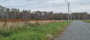 с. Новоалексеевское, КП Оникс,  в Нижнем Тагиле - nizhnij-tagil.yutvil.ru - фото 2