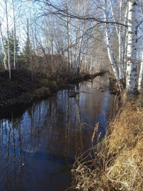 СНТ Берёзка в Нижнем Тагиле - nizhnij-tagil.yutvil.ru - фото 14
