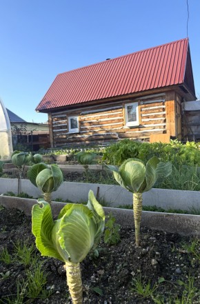 СНТ Дорожник в Нижнем Тагиле - nizhnij-tagil.yutvil.ru - фото 19