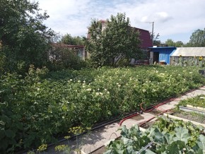 СНТ Медик-2 в Нижнем Тагиле - nizhnij-tagil.yutvil.ru - фото 6