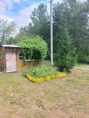 СНТ Родники в Нижнем Тагиле - nizhnij-tagil.yutvil.ru - фото 2