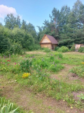 СНТ Родники в Нижнем Тагиле - nizhnij-tagil.yutvil.ru - фото 3