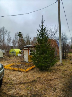 СНТ Родники в Нижнем Тагиле - nizhnij-tagil.yutvil.ru - фото 5