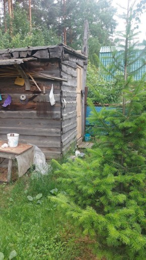 Екатеринбург, СНТ Садовод-24 в Нижнем Тагиле - nizhnij-tagil.yutvil.ru - фото 13