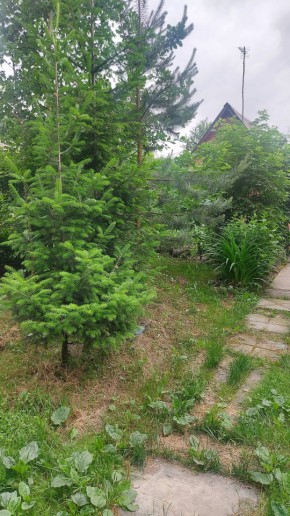 Екатеринбург, СНТ Садовод-24 в Нижнем Тагиле - nizhnij-tagil.yutvil.ru - фото 15