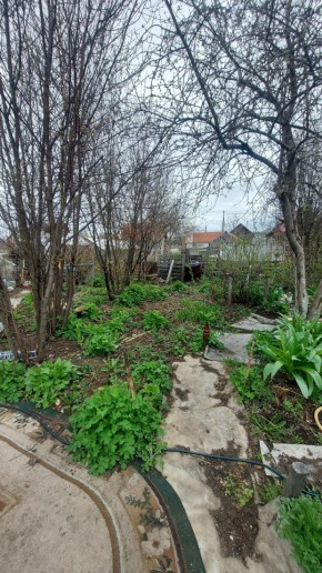 СНТ Сирень, уч. 38 в Нижнем Тагиле - nizhnij-tagil.yutvil.ru - фото 7