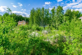 снт. СТ Березовая роща (КК:1801013) в Нижнем Тагиле - nizhnij-tagil.yutvil.ru - фото 45