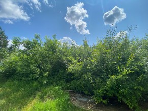 СПК Юбилейный, уч. 9 в Нижнем Тагиле - nizhnij-tagil.yutvil.ru - фото 9