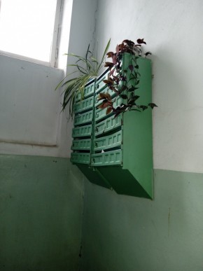 ул. Бажова,11 в Нижнем Тагиле - nizhnij-tagil.yutvil.ru - фото 3