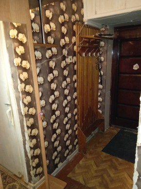 ул. Бажова,11 в Нижнем Тагиле - nizhnij-tagil.yutvil.ru - фото 9