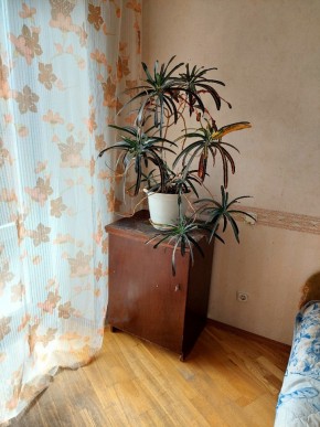 ул. Индустрии,29 в Нижнем Тагиле - nizhnij-tagil.yutvil.ru - фото 4 ул. Индустрии,29 в Нижнем Тагиле - nizhnij-tagil.yutvil.ru - фото 4