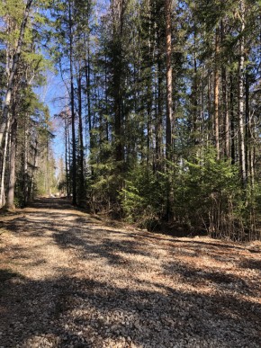 ул. Калиновая,9 в Нижнем Тагиле - nizhnij-tagil.yutvil.ru - фото 2