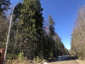 ул. Калиновая,9 в Нижнем Тагиле - nizhnij-tagil.yutvil.ru - фото 4