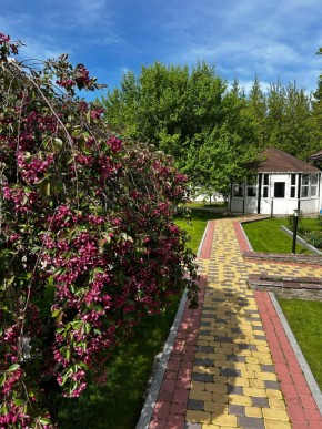 ул. Первомайская,220 в Нижнем Тагиле - nizhnij-tagil.yutvil.ru - фото 2