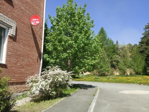 ул. Сосновая, 8 в Нижнем Тагиле - nizhnij-tagil.yutvil.ru - фото 25 ул. Сосновая, 8 в Нижнем Тагиле - nizhnij-tagil.yutvil.ru - фото 25