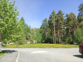 ул. Сосновая, 8 в Нижнем Тагиле - nizhnij-tagil.yutvil.ru - фото 26 ул. Сосновая, 8 в Нижнем Тагиле - nizhnij-tagil.yutvil.ru - фото 26