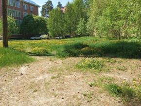 ул. Сосновая, 8 в Нижнем Тагиле - nizhnij-tagil.yutvil.ru - фото 33 ул. Сосновая, 8 в Нижнем Тагиле - nizhnij-tagil.yutvil.ru - фото 33