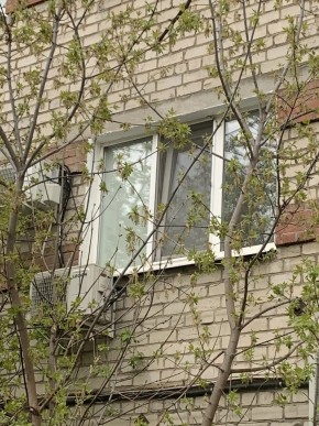 ул. Таганская,8 в Нижнем Тагиле - nizhnij-tagil.yutvil.ru - фото 14